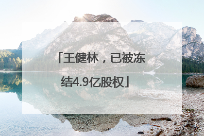 王健林，已被冻结4.9亿股权