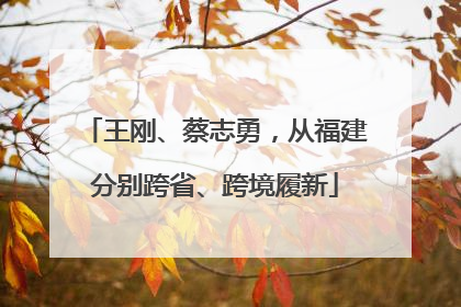 王刚、蔡志勇，从福建分别跨省、跨境履新