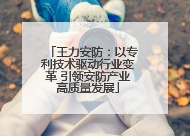 王力安防：以专利技术驱动行业变革 引领安防产业高质量发展