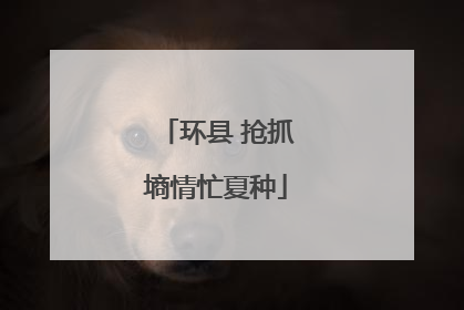 环县 抢抓墒情忙夏种