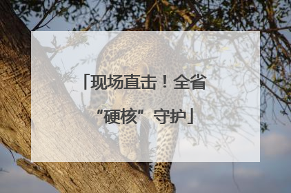 现场直击！全省“硬核”守护