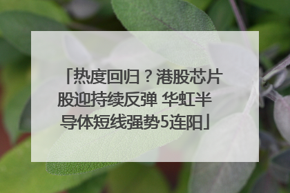 热度回归？港股芯片股迎持续反弹 华虹半导体短线强势5连阳