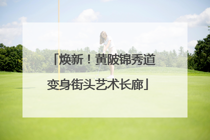 焕新！黄陂锦秀道变身街头艺术长廊