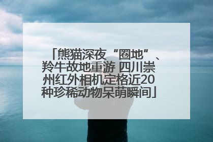 熊猫深夜“圈地”、羚牛故地重游 四川崇州红外相机定格近20种珍稀动物呆萌瞬间