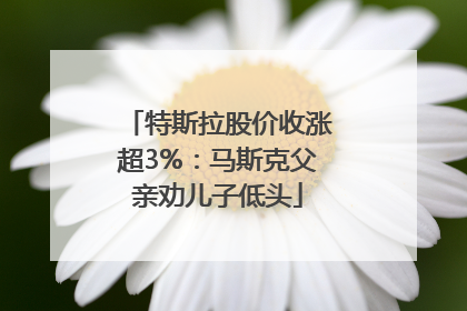 特斯拉股价收涨超3%：马斯克父亲劝儿子低头