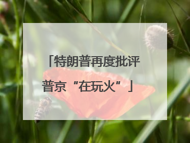 特朗普再度批评普京“在玩火”