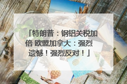 特朗普：钢铝关税加倍 欧盟加拿大：强烈遗憾！强烈反对！