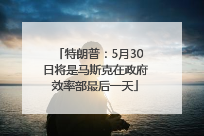特朗普：5月30日将是马斯克在政府效率部最后一天