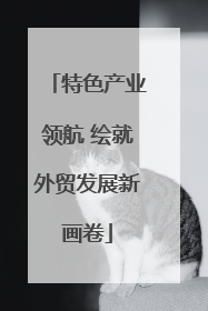 特色产业领航 绘就外贸发展新画卷