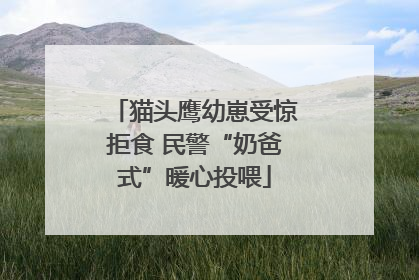 猫头鹰幼崽受惊拒食 民警“奶爸式”暖心投喂