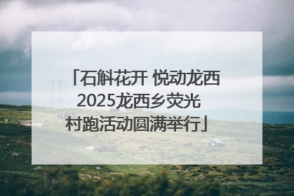石斛花开 悦动龙西 2025龙西乡荧光村跑活动圆满举行