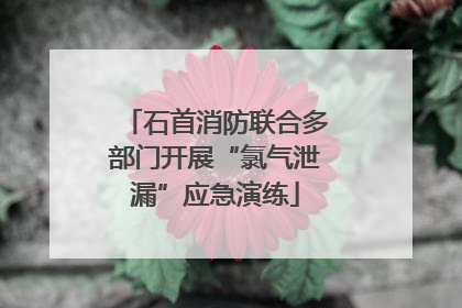 石首消防联合多部门开展“氯气泄漏”应急演练