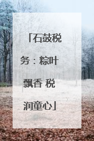 石鼓税务：粽叶飘香 税润童心