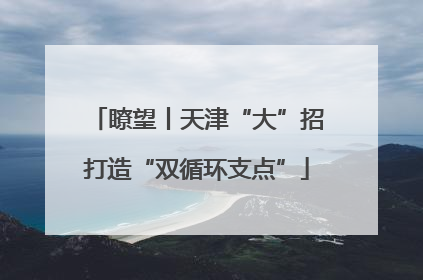瞭望丨天津“大”招打造“双循环支点”