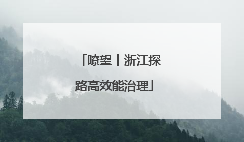 瞭望丨浙江探路高效能治理