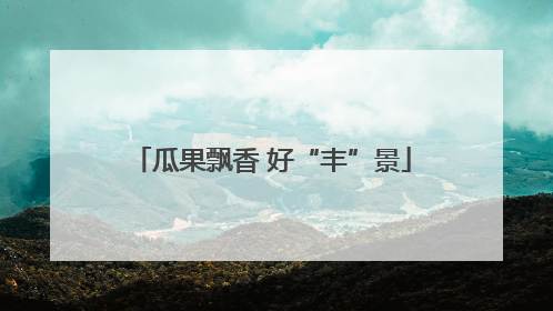 瓜果飘香 好“丰”景