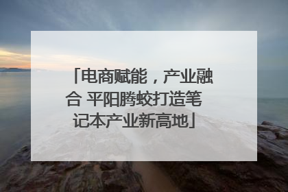 电商赋能，产业融合 平阳腾蛟打造笔记本产业新高地
