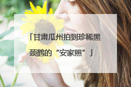 甘肃瓜州拍到珍稀黑颈鹤的“安家照”
