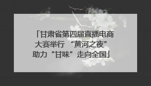 甘肃省第四届直播电商大赛举行 “黄河之夜”助力“甘味”走向全国