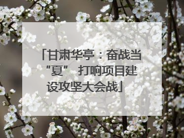 甘肃华亭：奋战当“夏” 打响项目建设攻坚大会战