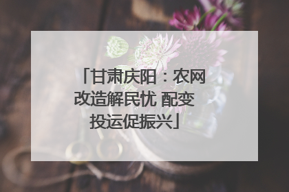 甘肃庆阳：农网改造解民忧 配变投运促振兴