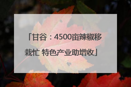 甘谷：4500亩辣椒移栽忙 特色产业助增收