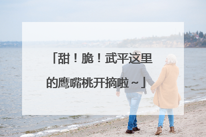 甜！脆！武平这里的鹰嘴桃开摘啦～