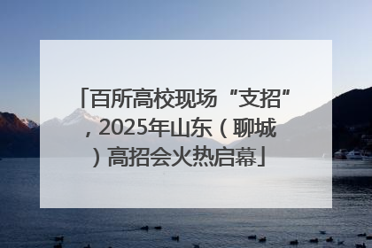 百所高校现场“支招”，2025年山东（聊城）高招会火热启幕