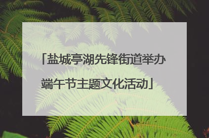 盐城亭湖先锋街道举办端午节主题文化活动