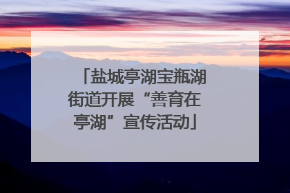 盐城亭湖宝瓶湖街道开展“善育在亭湖”宣传活动