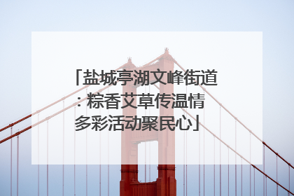 盐城亭湖文峰街道：粽香艾草传温情 多彩活动聚民心