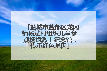 盐城市盐都区龙冈镇杨斌村组织儿童参观杨斌烈士纪念馆，传承红色基因