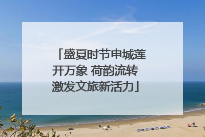 盛夏时节申城莲开万象 荷韵流转激发文旅新活力
