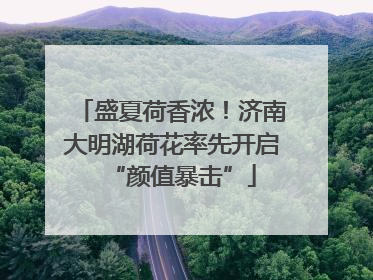 盛夏荷香浓！济南大明湖荷花率先开启“颜值暴击”