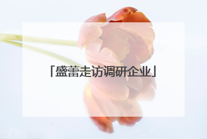盛蕾走访调研企业