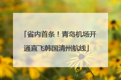 省内首条！青岛机场开通直飞韩国清州航线