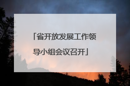 省开放发展工作领导小组会议召开