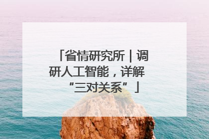 省情研究所｜调研人工智能，详解“三对关系”