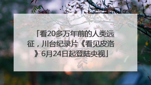 看20多万年前的人类远征，川台纪录片《看见皮洛》6月24日起登陆央视