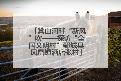 箕山河畔“新风”吹——探访“全国文明村”鄄城县凤凰镇酒店张村