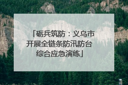 砺兵筑防：义乌市开展全链条防汛防台综合应急演练