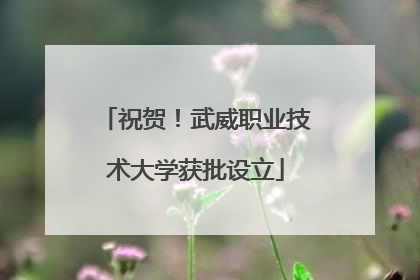 祝贺！武威职业技术大学获批设立