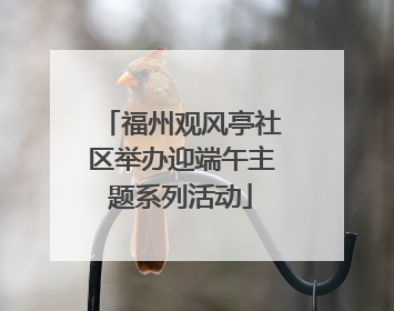 福州观风亭社区举办迎端午主题系列活动