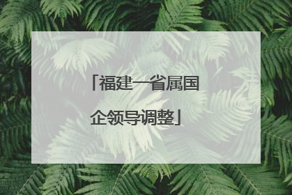 福建一省属国企领导调整