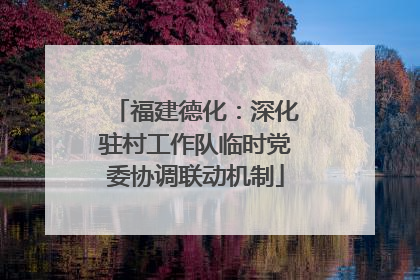 福建德化：深化驻村工作队临时党委协调联动机制
