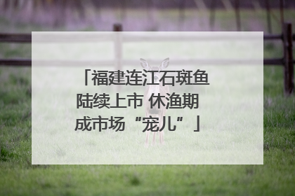 福建连江石斑鱼陆续上市 休渔期成市场“宠儿”