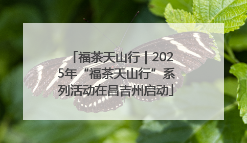 福茶天山行｜2025年“福茶天山行”系列活动在昌吉州启动