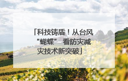 科技铸盾！从台风“蝴蝶” 看防灾减灾技术新突破