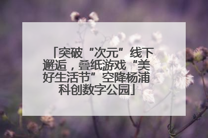 突破“次元”线下邂逅，叠纸游戏“美好生活节”空降杨浦科创数字公园