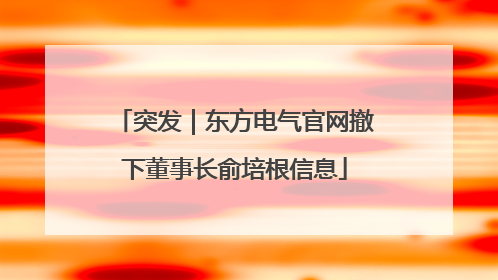 突发｜东方电气官网撤下董事长俞培根信息